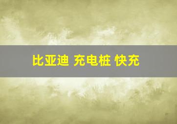 比亚迪 充电桩 快充